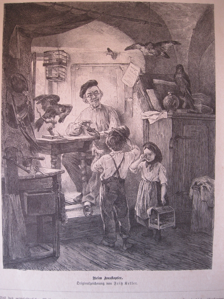 Profesiones: El disecador o taxidermista, 1880